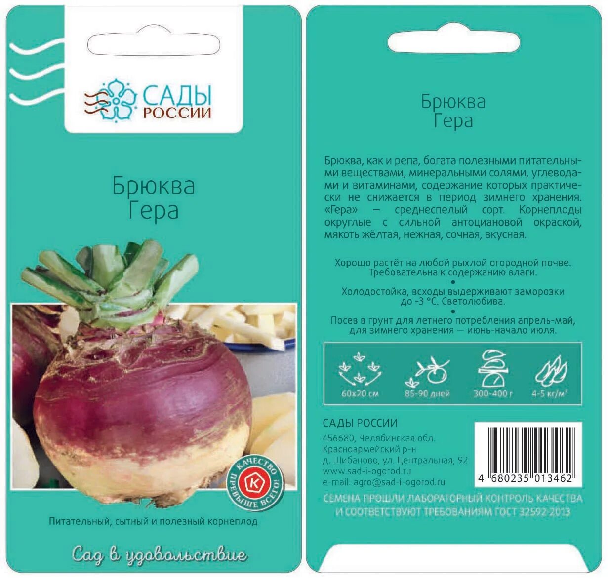 Брюква сорта. Брюква красносельская описание. брюква brassica napobrassica. брюква вильма /седек/ 0,5 гр.