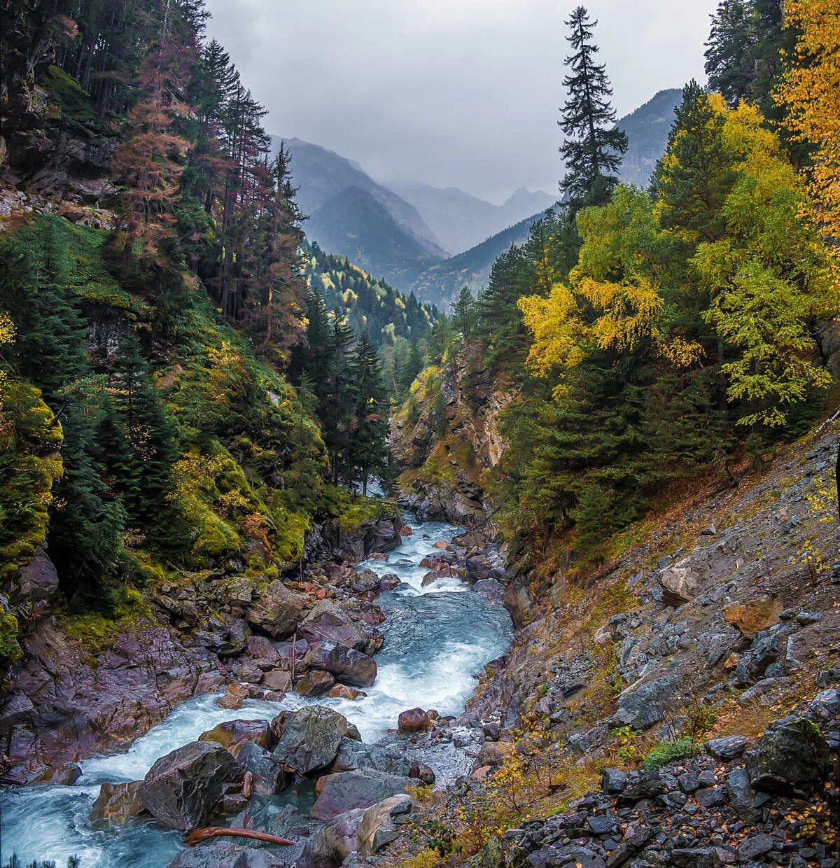 Национальный тебердинский заповедник. Достопримечательности кчр тебердинский заповедник. Домбай тебердинский заповедник летом. Озеро туманлы кель тебердинский заповедник. Теберда 4.
