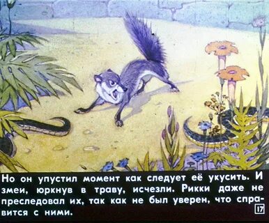 Рики тики тави краткое содержание