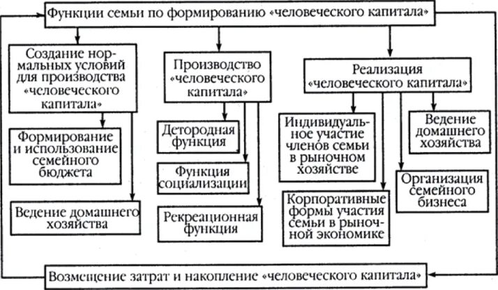 Экономическая функция семьи. Основные функции экономики семьи. Функции семьи формирование человеческого капитала. Функции семьи в рыночной экономике.