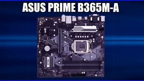 Материнская плата asus prime b365m a