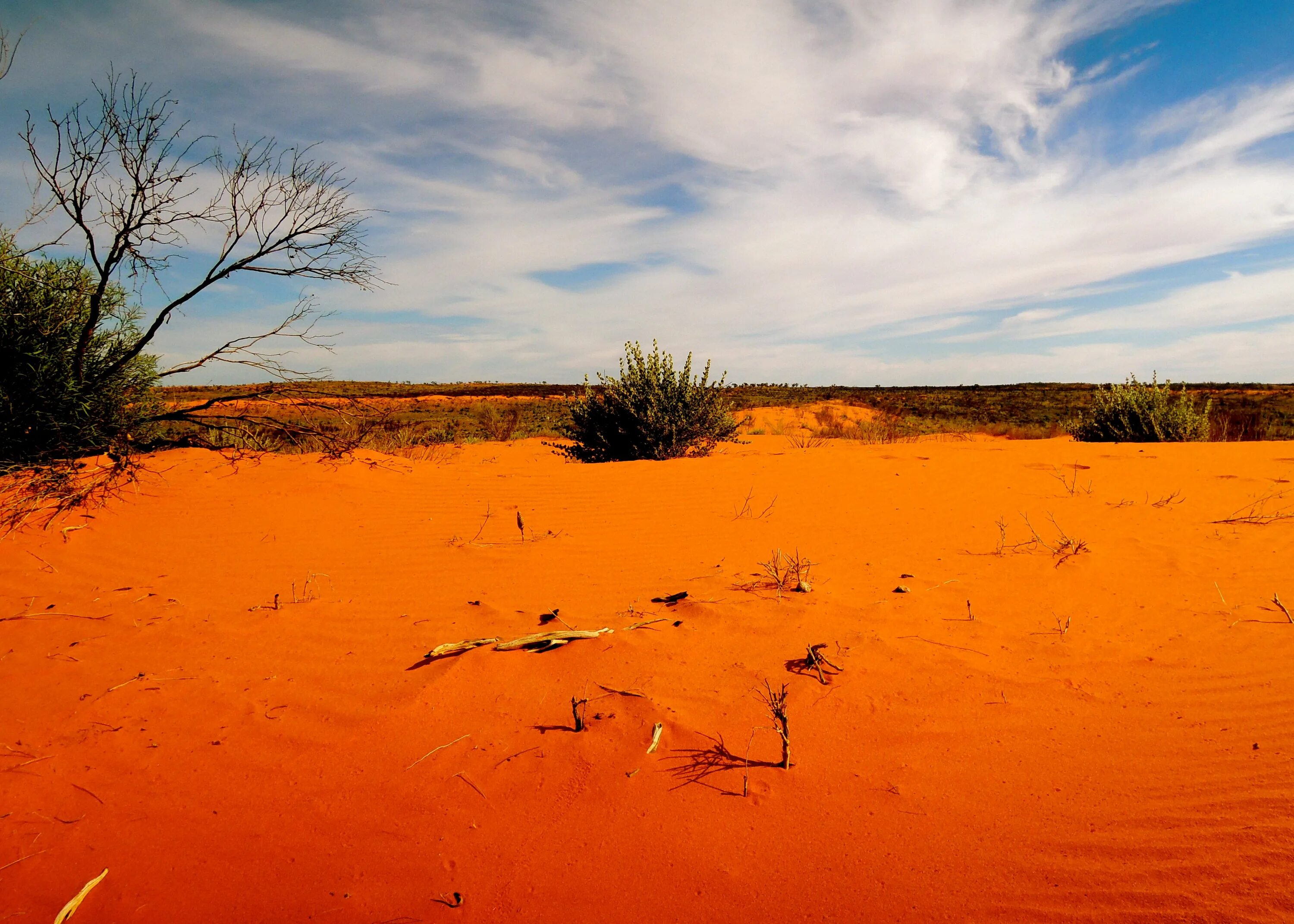 Засушливые области австралии. Great Victoria Desert Австралия.