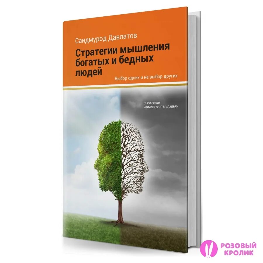 Стратегия мышления богатых и бедных людей Саидмурод Давлатов. Саидмурод Давлатов книги. Книга стратегия мышления Саидмурода Давлатова. Книга стратегия мышления богатых и бедных людей. Стратегия богатых и бедных