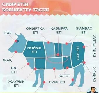 Қыздар жұлқылай бастағанда