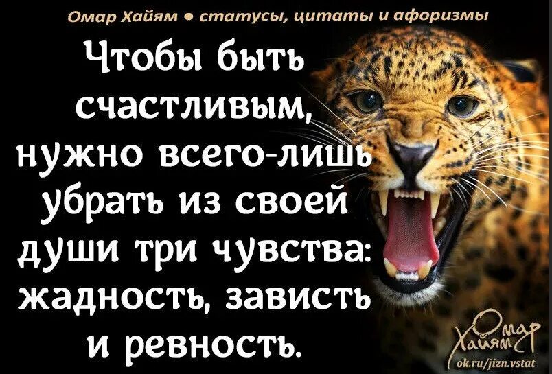 Не давайте сильным губить человека. Цитаты про жадность. Афоризмы. Афоризмы про жадных. Высказывания мудрецов про жадность.