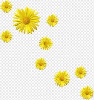 Желтое png