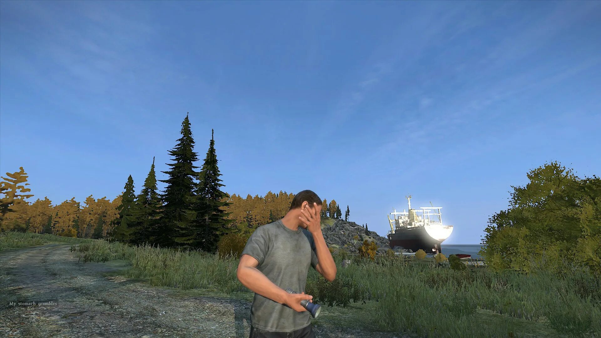 Dayz client. Сидор DAYZ. DAYZ лица. DAYZ жесты. Enigma DAYZ.