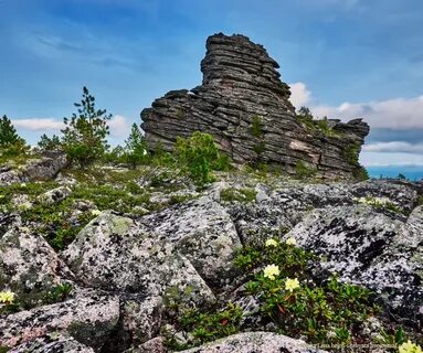 Сибирский уголок