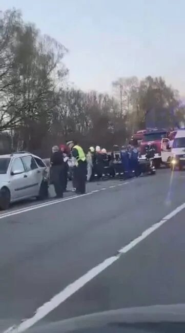 Дтп владимирская область за неделю. Дтп владимирская область за неделю. Дтп владимирская область за неделю. Дтп владимирская область за неделю. Дтп владимирская область за сутки сводка.