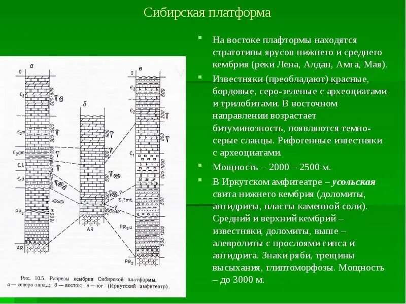 Нижний ярус платформы называется. Нижний ярус платформы называется
