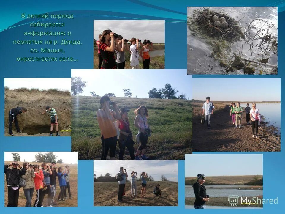 Киевка ставропольский край апанасенковский район. Киевка апанасенковский район. Киевка ставропольский край. Киевка апанасенковский район. Село киевка ставропольский край.