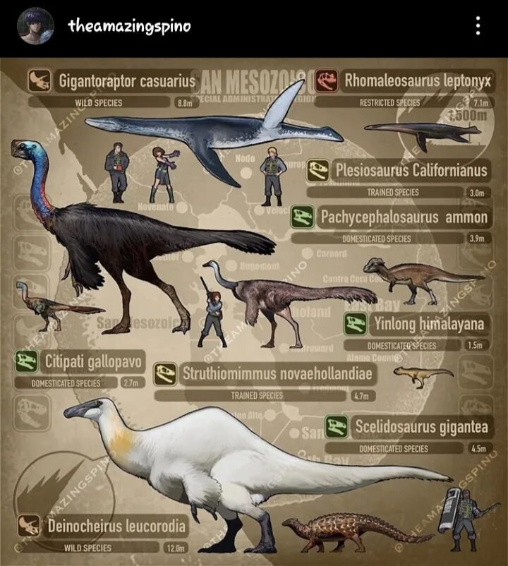 Гигантораптор арк. Гигантораптор динозавр. Дейнохейрус динозавр. Гигантораптор сравнение с человеком.