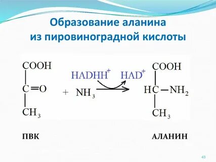 В результате какой реакции образуется пвк