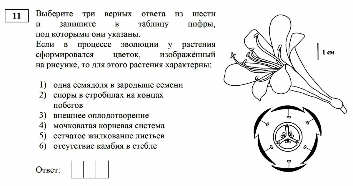 Демоверсия биология 6 класс 2023 год. ЕГЭ по биологии задания. ЕГЭ биология 2023. Диаграммы цветков ЕГЭ. Задания ЕГЭ биология 2023.