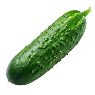 Жетілген лесбиянки фистинг видео онлайн