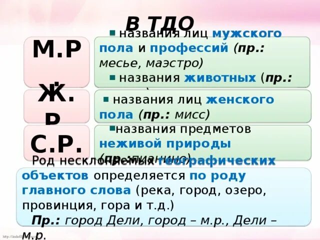 Определите род существительных какаду. Название лиц мужского пола. Обозначающими названия лиц мужского пола. Названия лиц женского пола профессии. Название предметов женского пола.