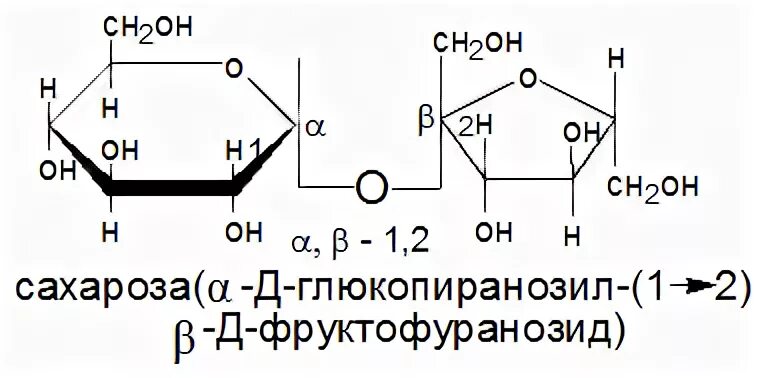 Сахароза биологическая роль. Сахароза Тип гликозидной связи. Сахароза гликозидные гидроксилы. Строение сахарозы. Строение молекулы сахарозы.