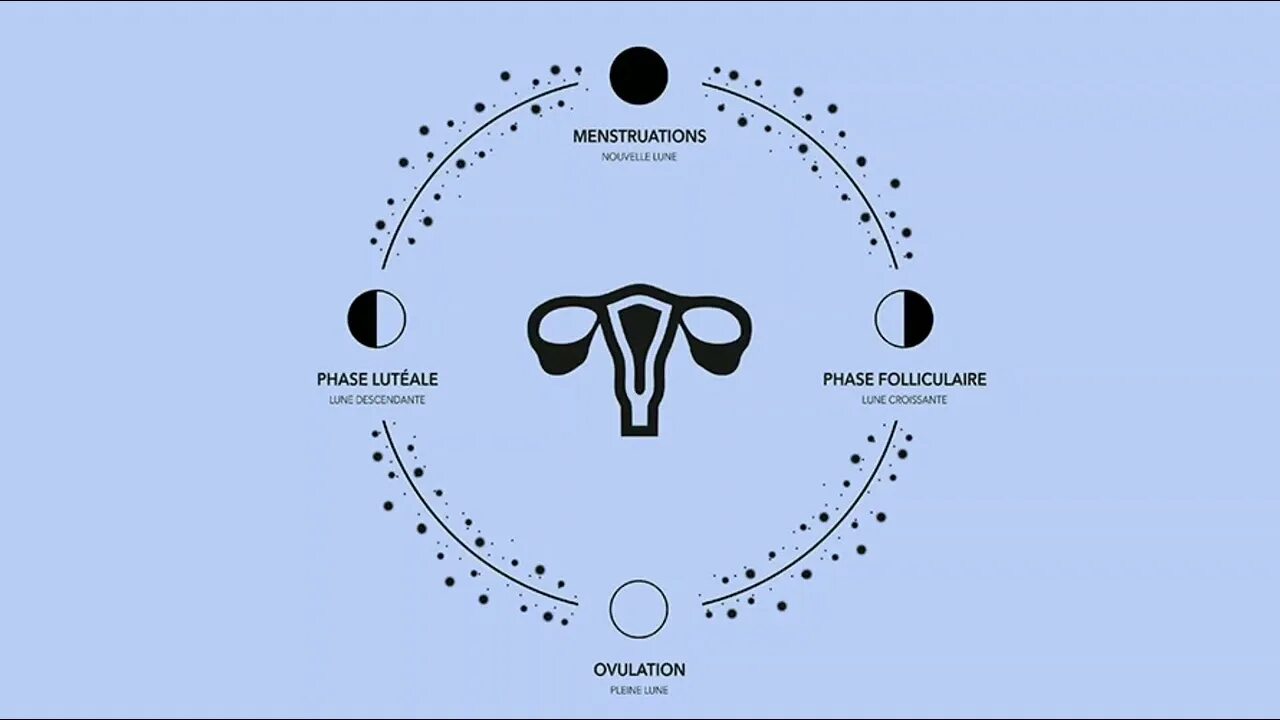 Месячные и лунный цикл. Лунный цикл и женский цикл. Фазы Луны и женский цикл. Менструальный цикл и Луна.