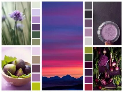 С какими цветами сочетается фиолетовый цвет в одежде фото - SpaceFor.ru