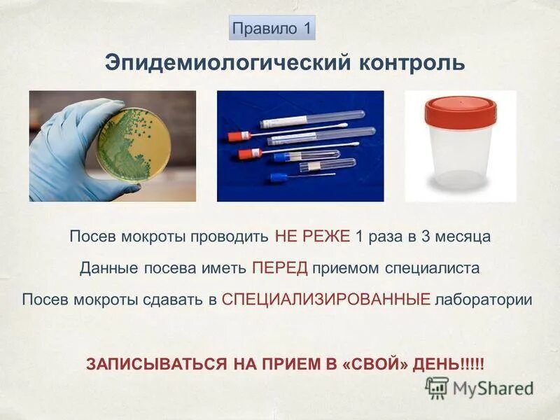 Как правильно сдать бак. Посев мокроты. Методика посева мокроты. Анализ мокроты на посев. Среды для посева мокроты.