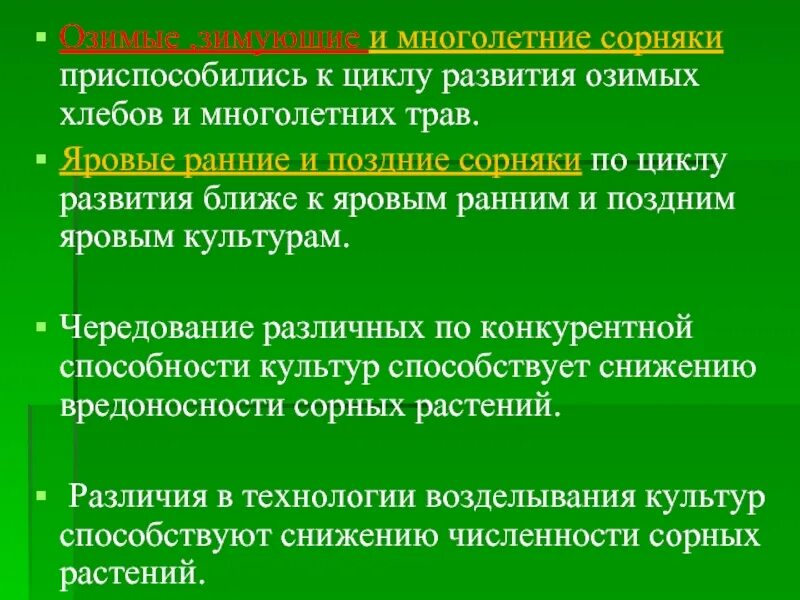 Яровые поздние сорняки. Яровые поздние сорняки. Амброзия полыннолистная (ambrosia artemisiifolia l. Цинна широколистная. Травка-муравка спорыш.