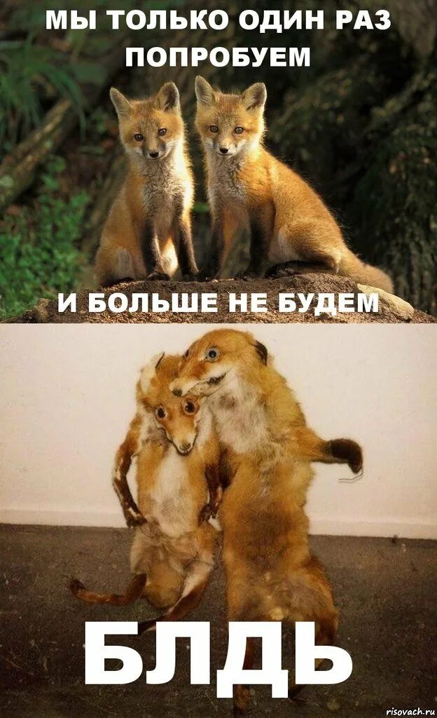 Поговорить на важные темы. Дай в самый раз. Сильные цитаты о жизни. Не надо так мем девочка. Правила волшебника цитаты.