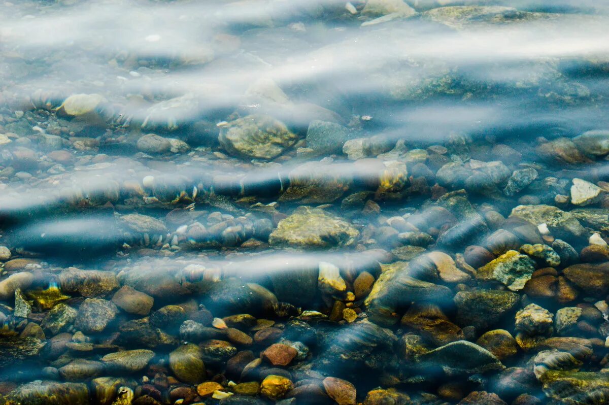 Камни вода рыбы