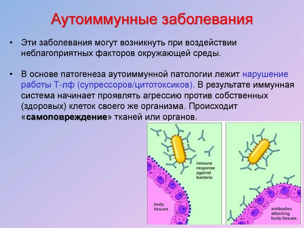 Аутоиммунные заболевания. Авто иммунное заболевание что такое. Аиутомные заболевания. Заболевания иммунной системы аутоиммунные. Аутоиммунных осложнений