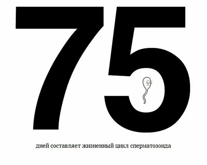 75 в число