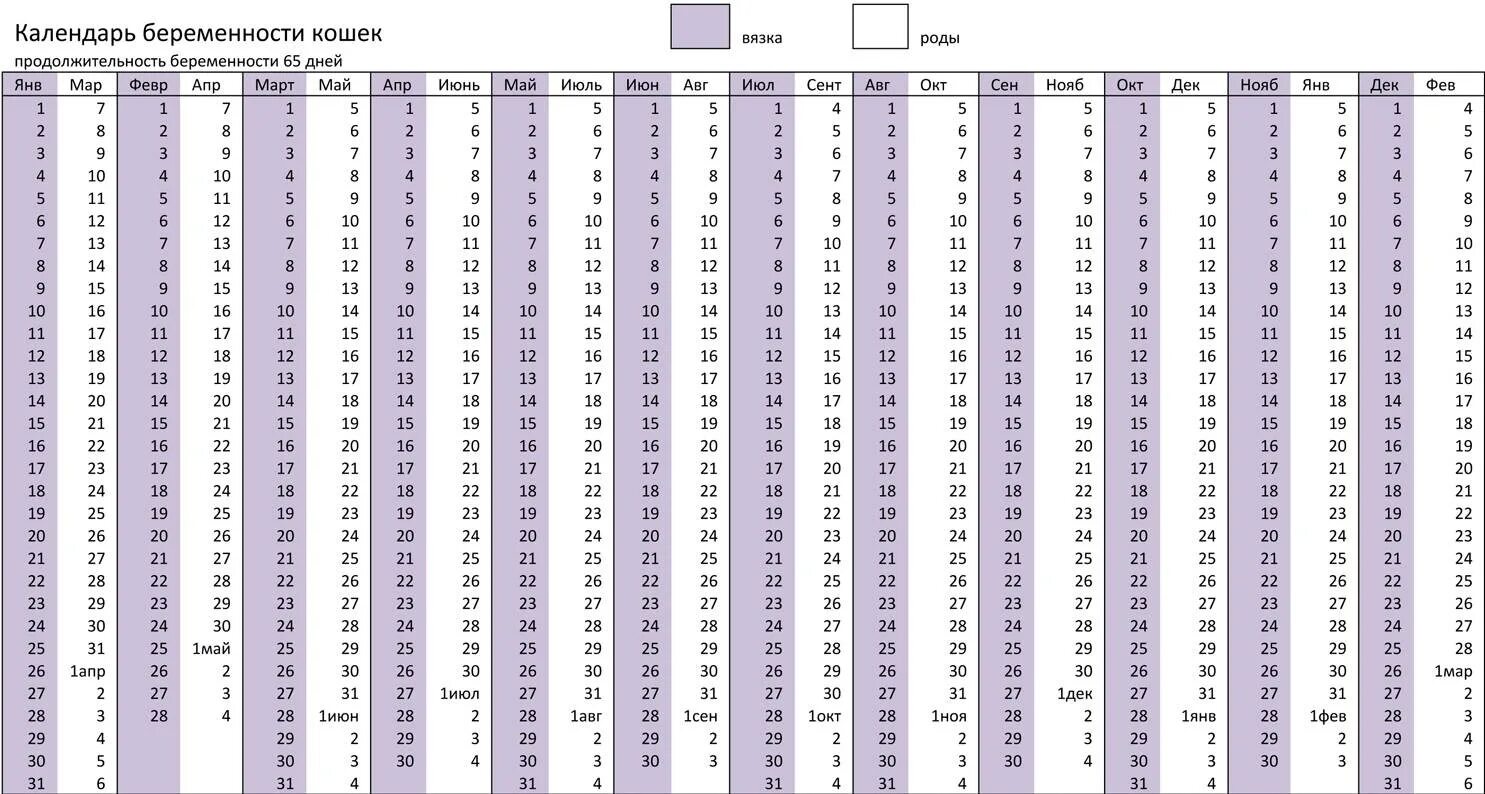 Триместры беременности по неделям. Сколько недель вынашивают. Сколько недель вынашивают. Длительность беременности. Продолжительность нормальной беременности.
