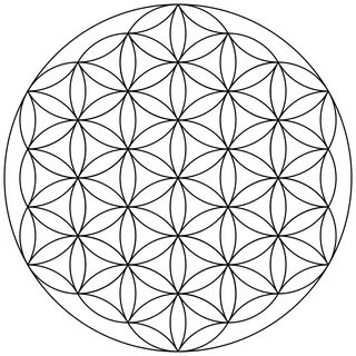 Цветок жизни (геометрия) — Википедия.