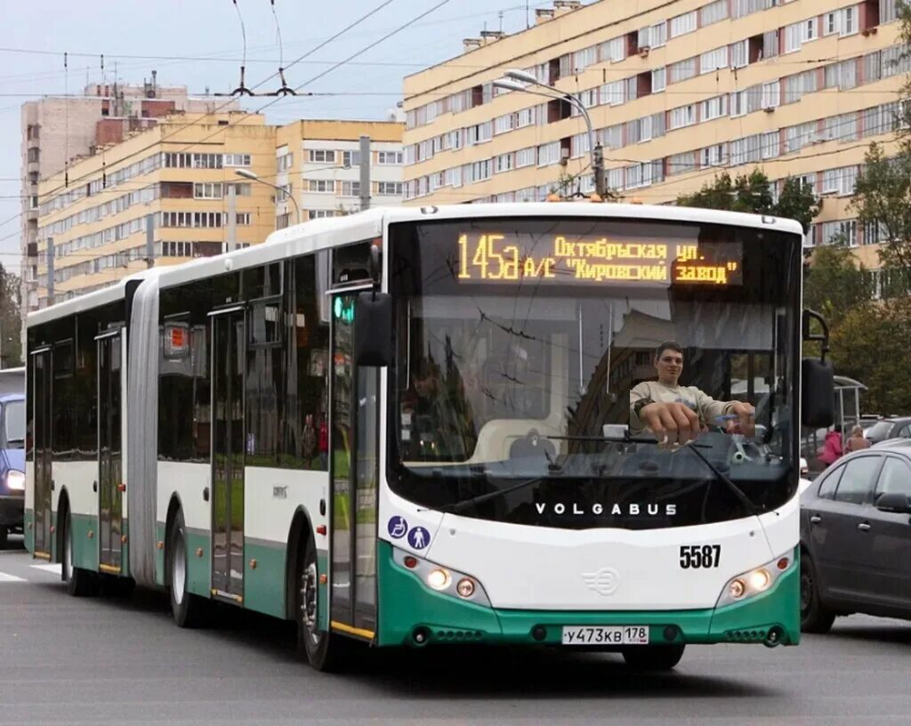 Маршрут 145 автобуса спб. Волгабас 6271. VOLGABUS 6271. Волгабас Санкт Петербург. Волгабас 6271 Санкт-Петербург.