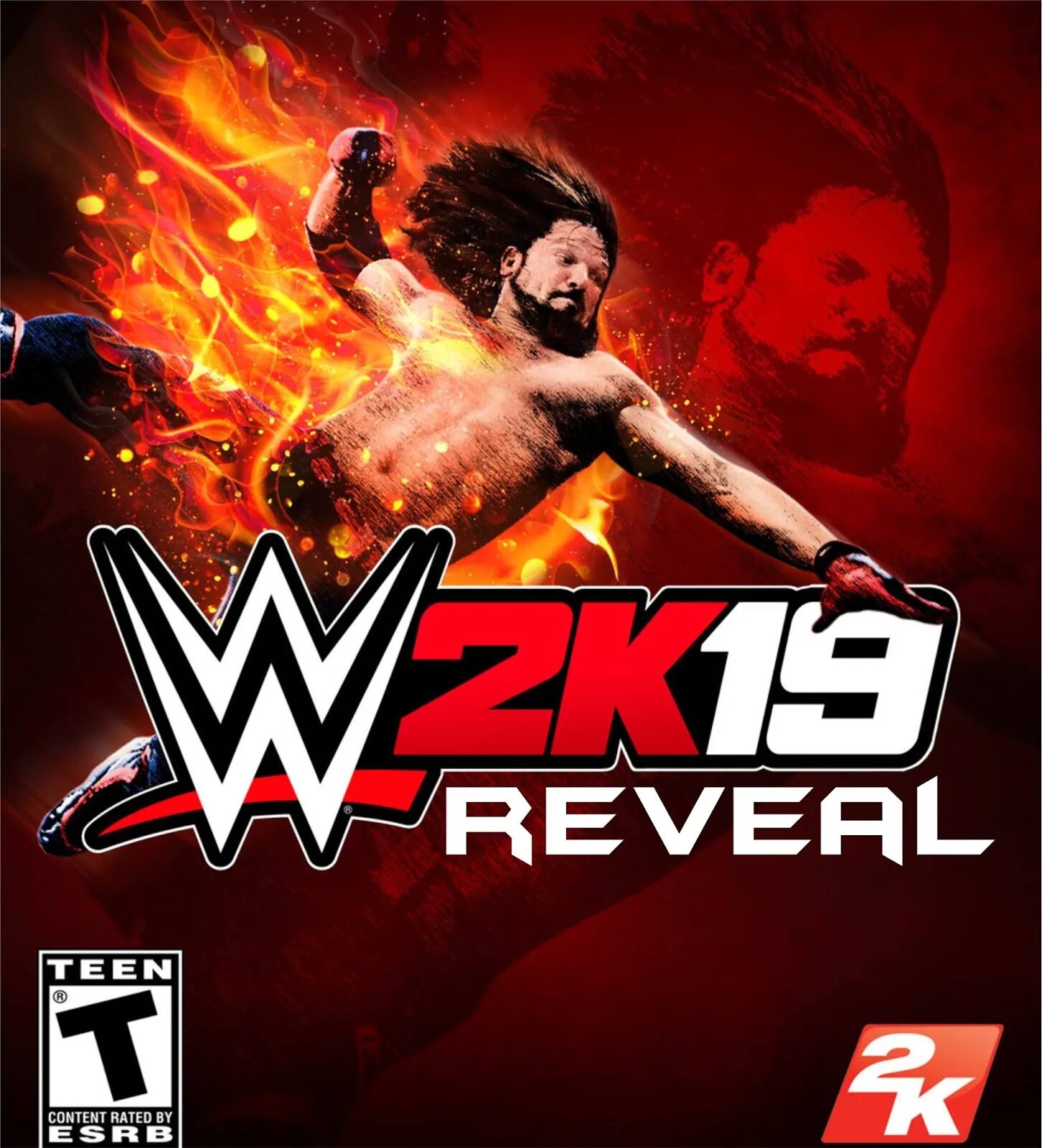 WWE 2k19. WWE ps4. WWE 2k19 обложка. Ps4 wwe2021 диск. Wwe ps5