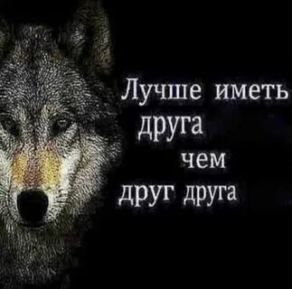 Тот кто напротив 6 букв