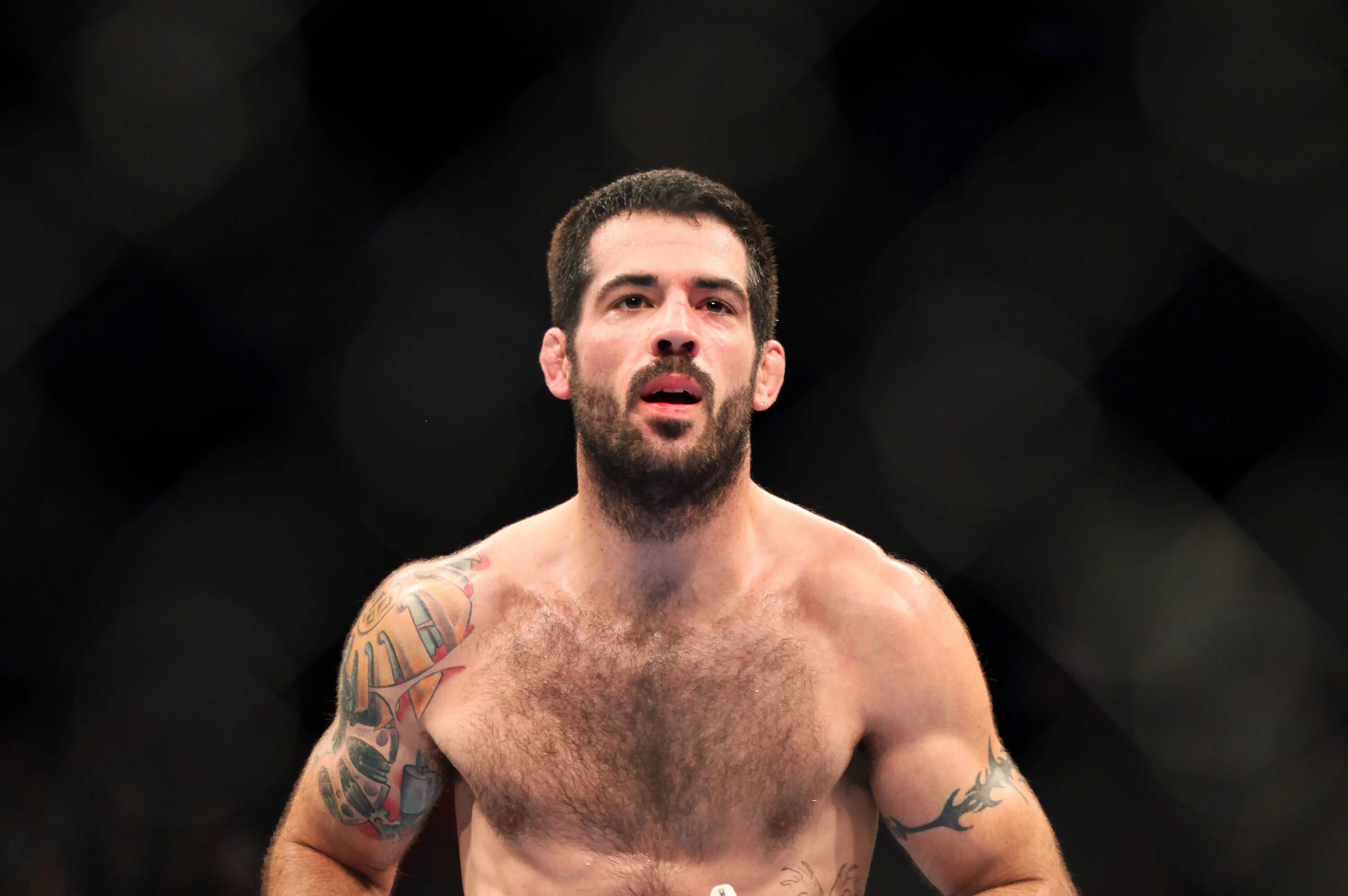 Matt brown. Мэтт Браун Бессмертный.