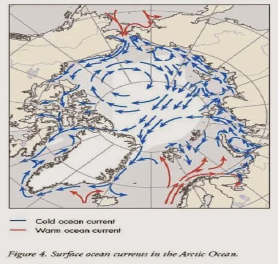 Морские течения северного ледовитого океана. Течения северного ледовитого океана на карте. Морские течения северного ледовитого океана. Течения северного ледовитого океана. Морские течения северного ледовитого океана.