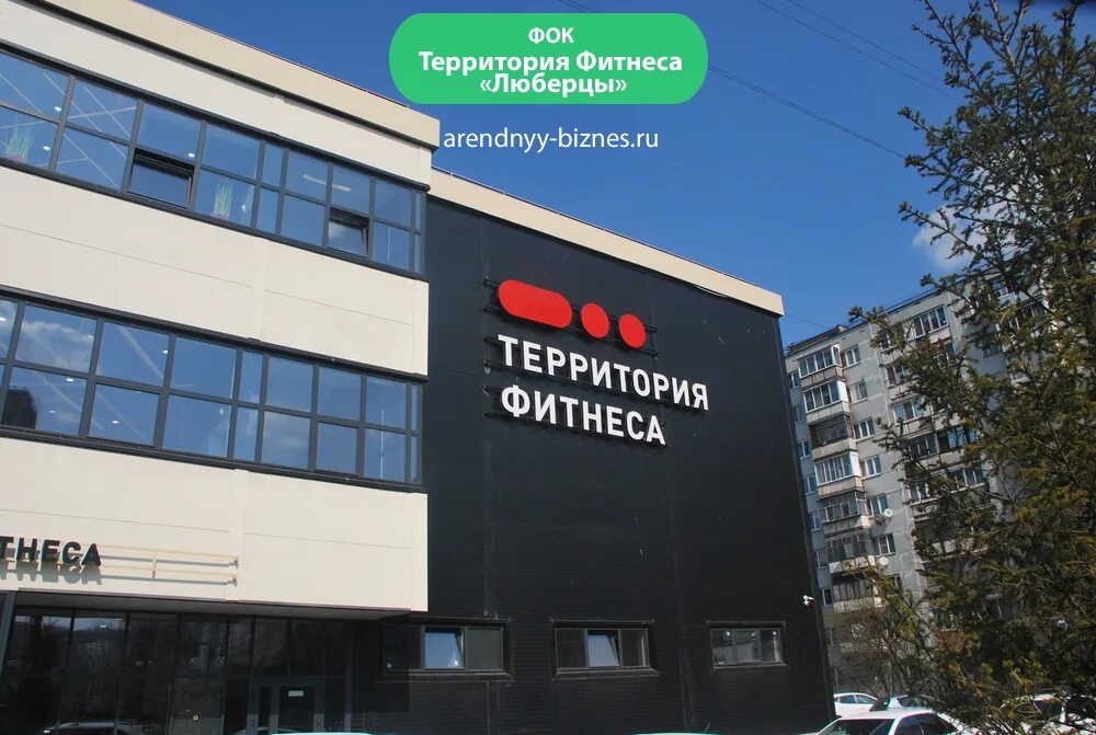 Территория фитнеса побратимов 17а. Побратимов 17 люберцы. Побратимов 7 люберцы фитнес. Территория фитнеса ул побратимов 17а отзывы. Территория фитнеса ул побратимов 17а отзывы.