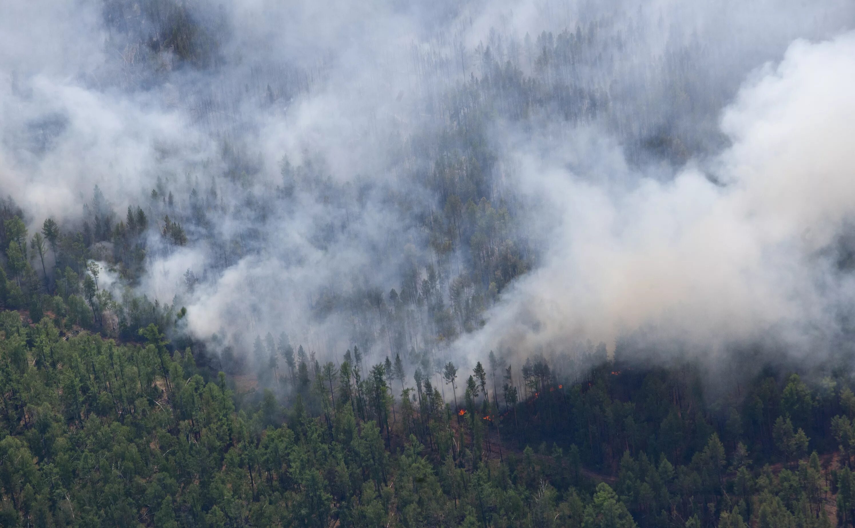 лесной пожар дым. загрязнение атмосферы пожар. дым от пожара. дым над лесом. лесные пожары в сибири.