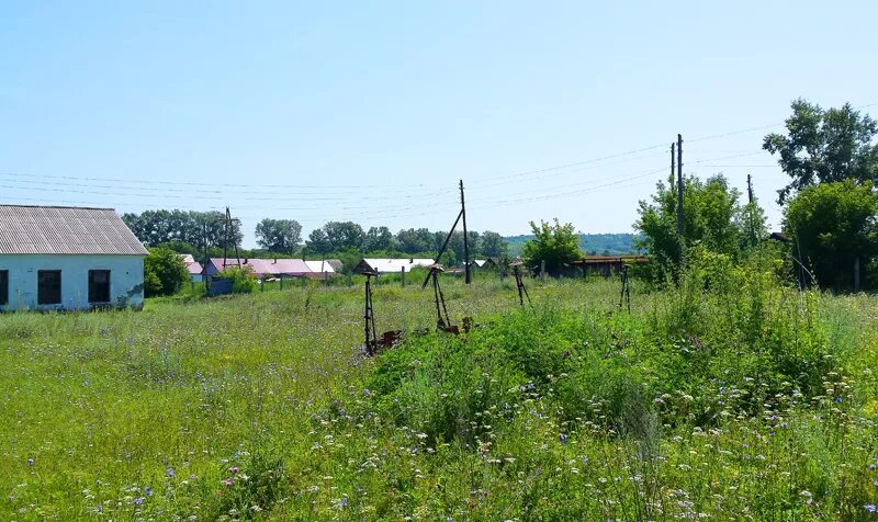 Погода в быстрянке алтайского. Село быстрянка алтайский край. Село быстрянка алтайский край. Быстрянка алтайский край. Погода в быстрянке алтайского.