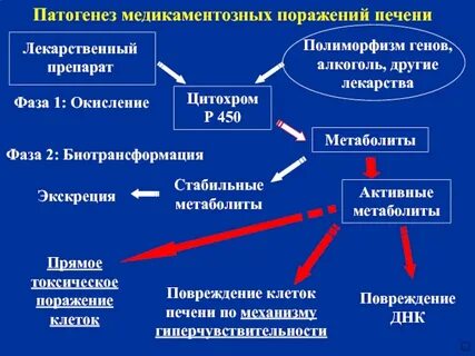 Почечный гепатит