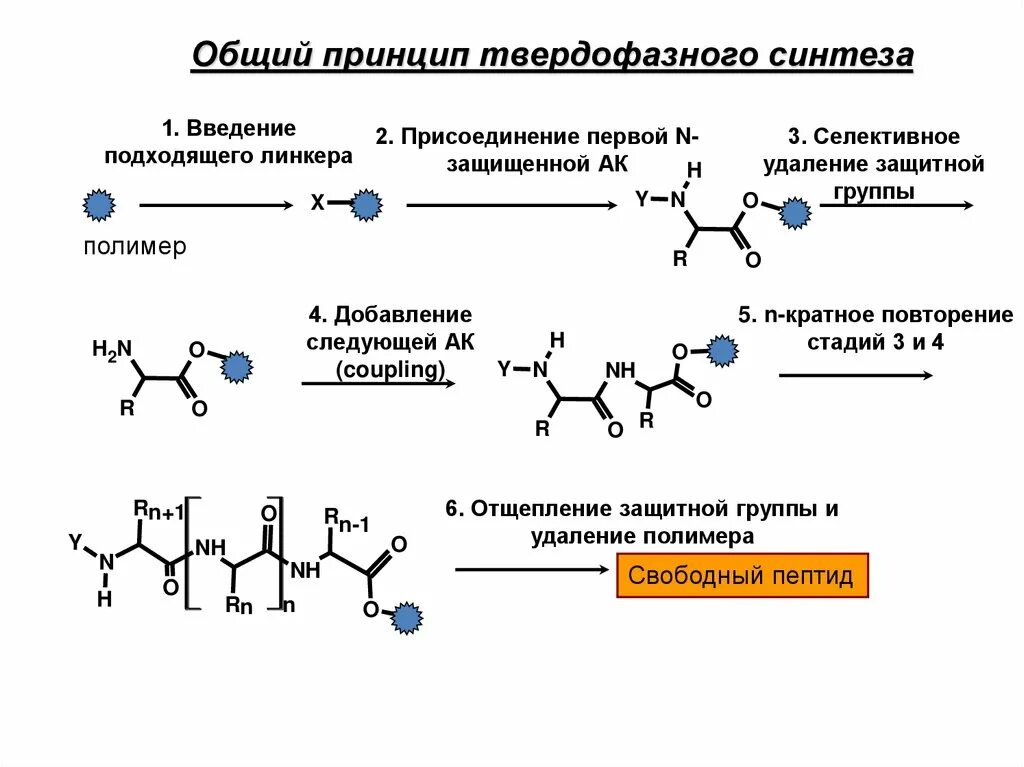 Синтеза упаковка. Твердофазный пептидный Синтез. Тыердофазный Синтез пиптила. Схема синтеза пептидов. Мэррифилд твердофазный Синтез пептидов».