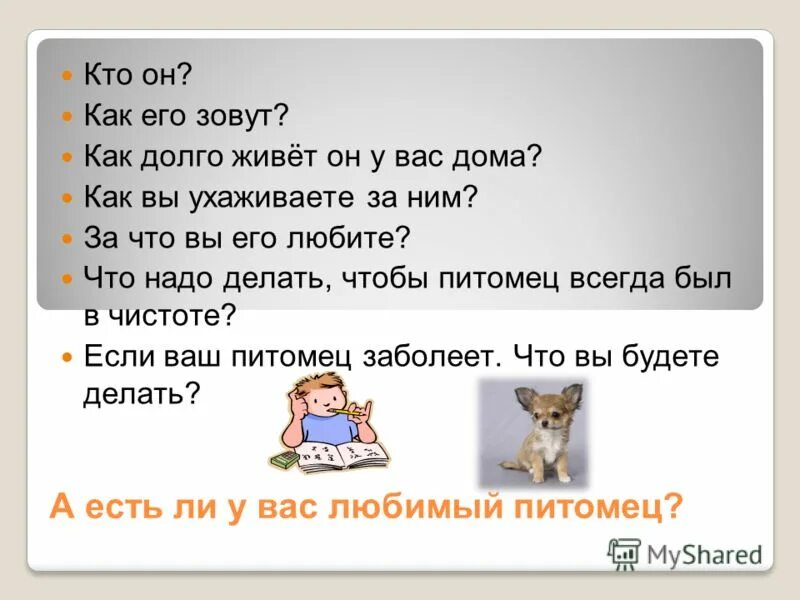Елена матвеева паша лям слив. Рассказ о собаке. Как его зовут как его зовут. Как зовут вашего кота. Зовут как тебя зовут.