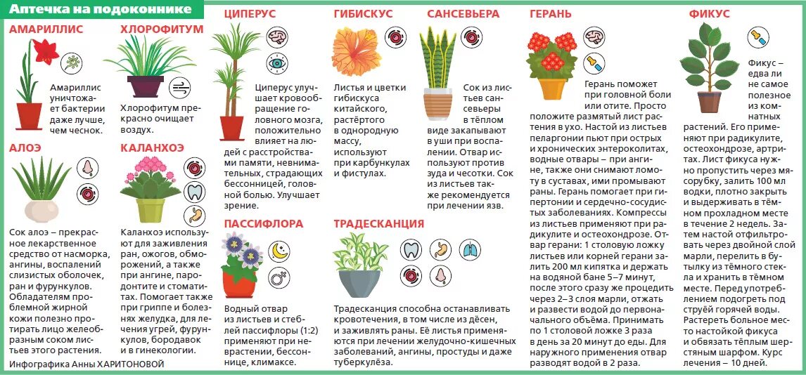 Правила использования цветов