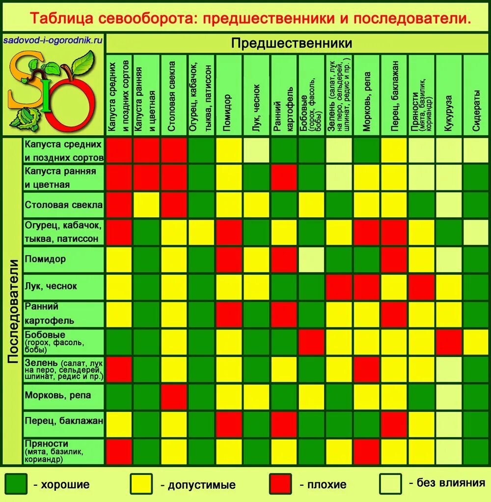 Таблица чередования посевов овощей в огороде. Чередование посадок овощных культур таблица. Схема севооборота овощных культур на огороде. Таблица севооборота предшественники и последователи.