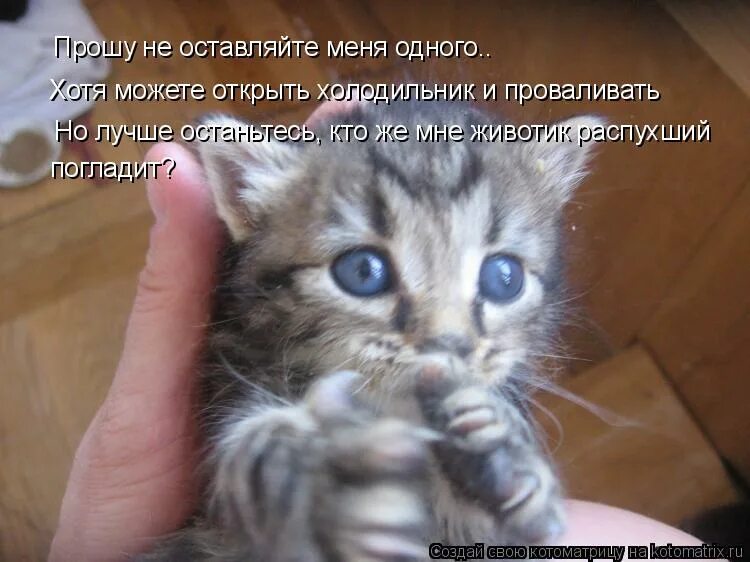 Благими намерениями вымощена дорога в ад. Мастер йода да прибудет с тобой. Прикольные надписи на дверь. Мастер не оставляйте меня. Эти ерошины развелись почему.