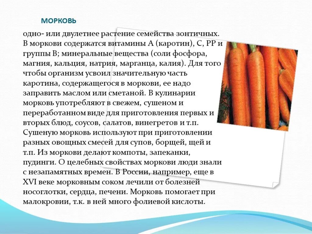 Сообщение о моркови 4 класс. Доклад про морковь. Рассказать о морковке. Доклад о морковке.