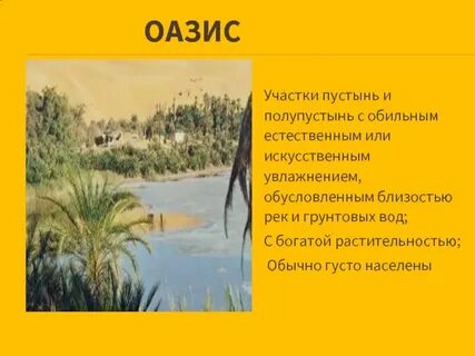Оазис определение