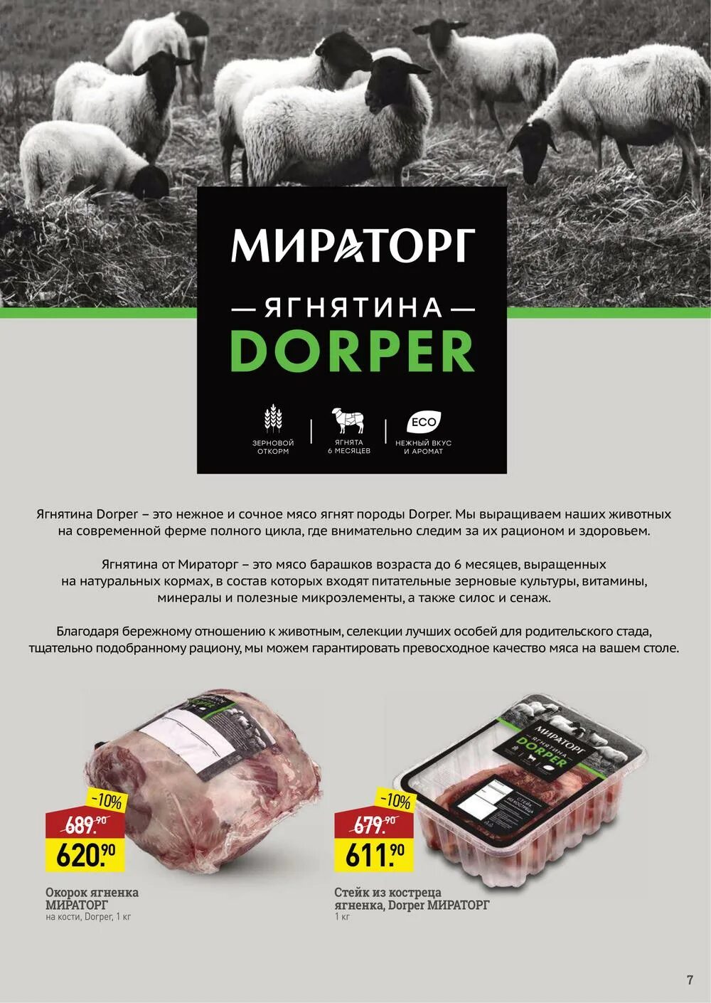 Купить сухой корм мираторг. Мираторг. Мираторг продукция. Мираторг акции. Мираторг Калининград.