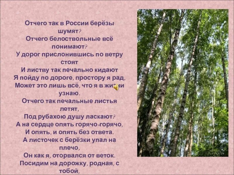 Почему в россии березы шумят песня. Отчего так в России березы шумят. Отчего так в России берёзы шумят, отчего белоствольные всё понимают,. Березы шумят текст. Текст про березу.