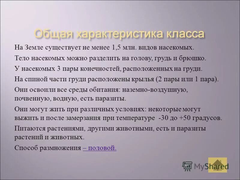 Особенности класса. Характеристика класса насекомые. Класс насекомые общая характеристика. Основная характеристика насекомых. Общая характеристика насекомых кратко.